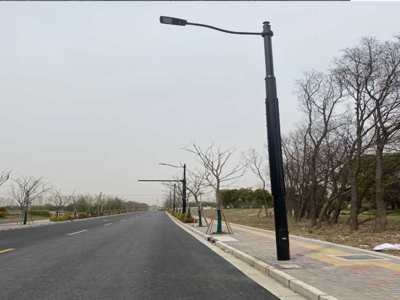 延寿县上海综合杆 太阳能路灯工程